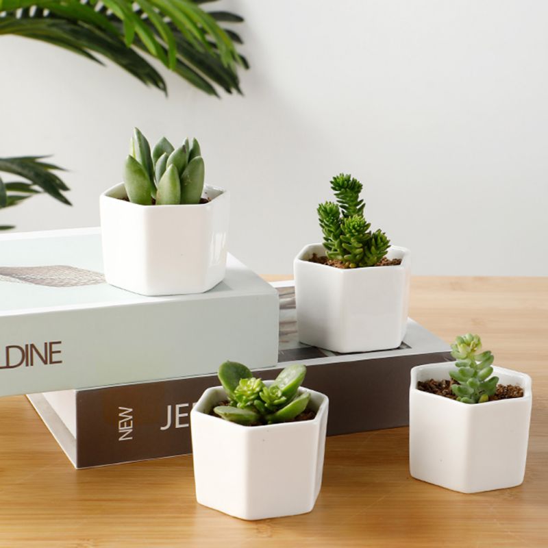 Simple White Creative Ceramic Small Hexagonal Succulent Flower Pot