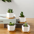 Simple White Creative Ceramic Small Hexagonal Succulent Flower Pot