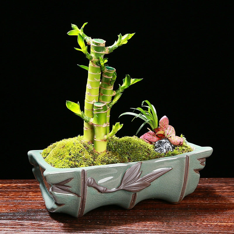 Ge Kiln Orchid Pots Creative Asparagus Fern Phalaenopsis