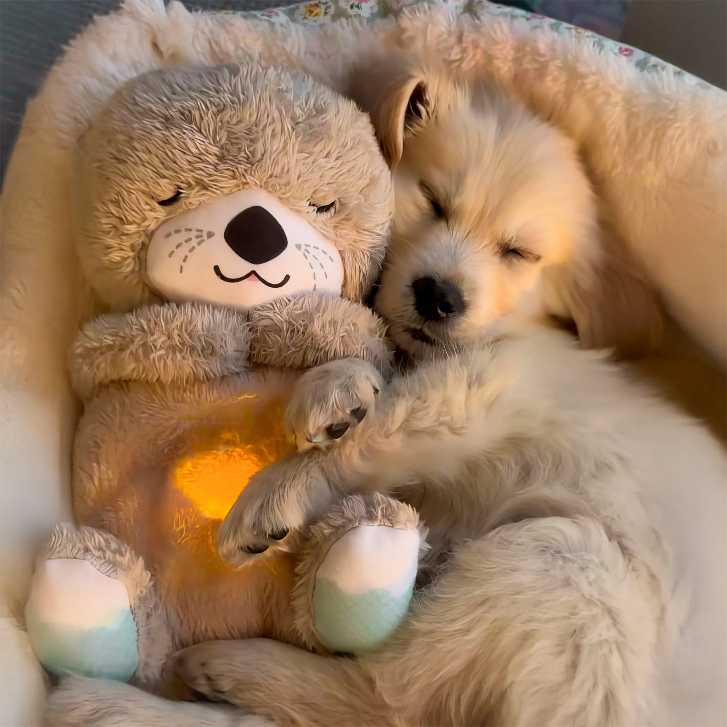 Breathing Teddy Otter